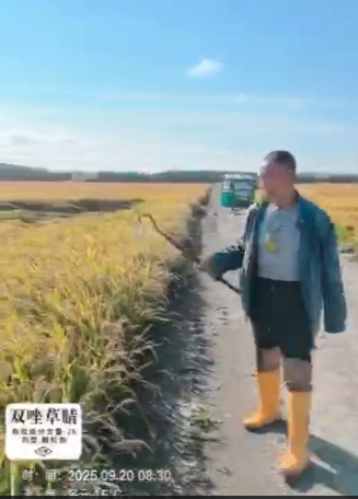 双唑草腈-建三江 测产试验现场回访