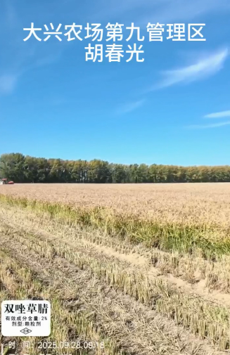 双唑草腈-建三江 测产试验增产
