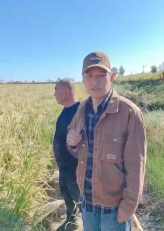 双唑草腈-双唑草腈-肇东市实地回访 用药效果好